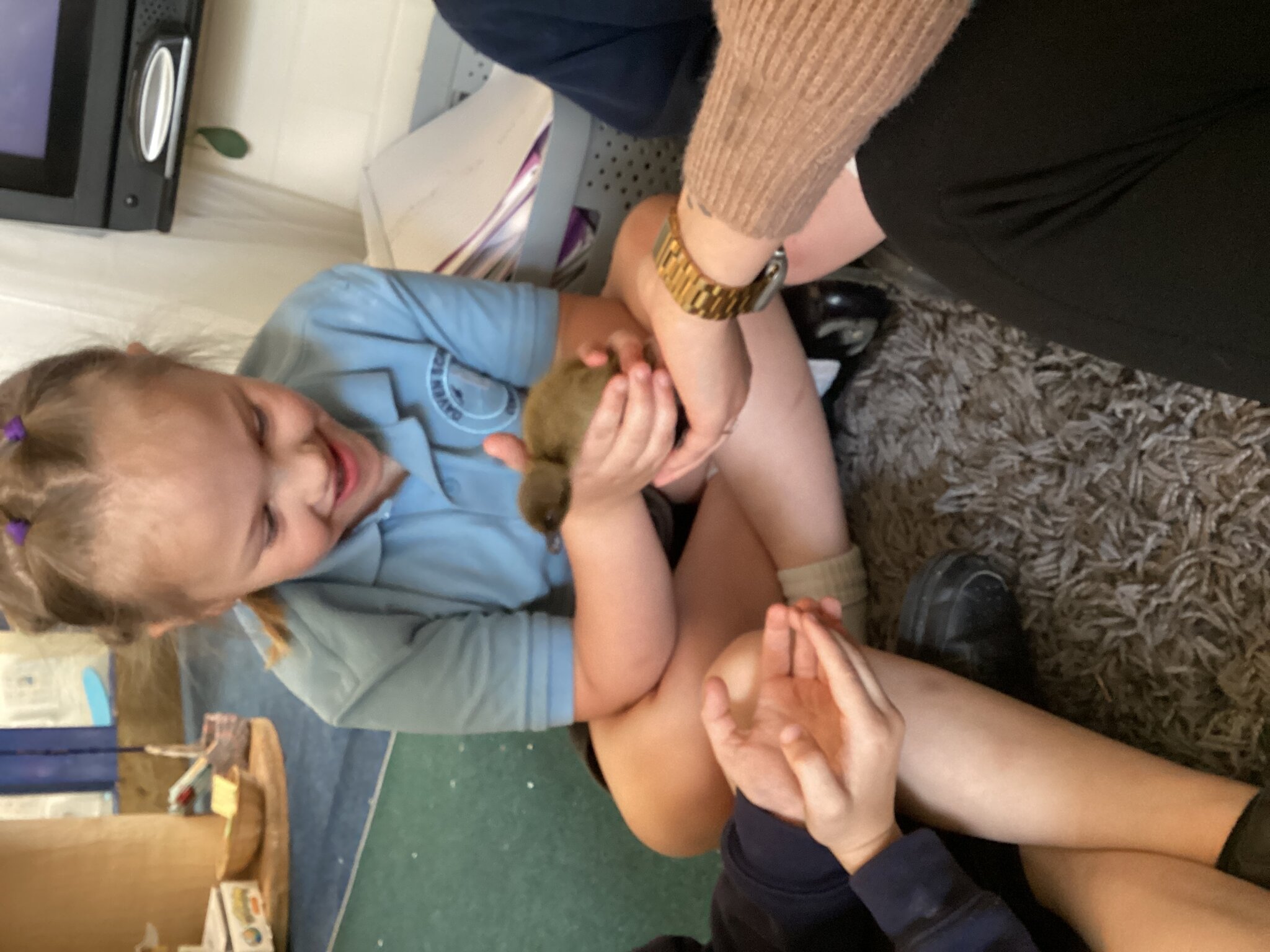 Image of Reception Class have had ducklings